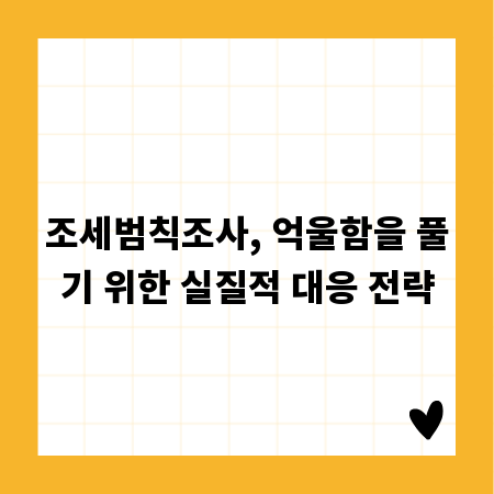 조세범칙조사, 억울함을 풀기 위한 실질적 대응 전략