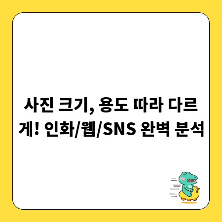 인화부터 SNS까지, 사진 용도별 완벽 사이즈 설정법