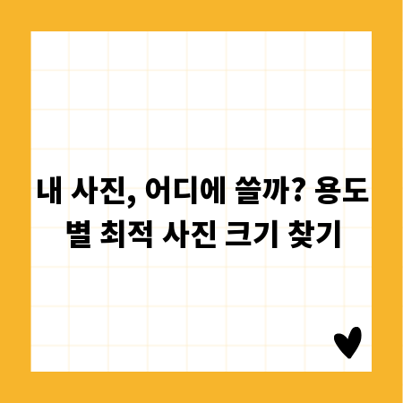 내 사진, 어디에 쓸까? 용도별 최적 사진 크기 찾기