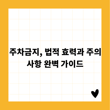 주차금지, 법적 효력과 주의사항 완벽 가이드