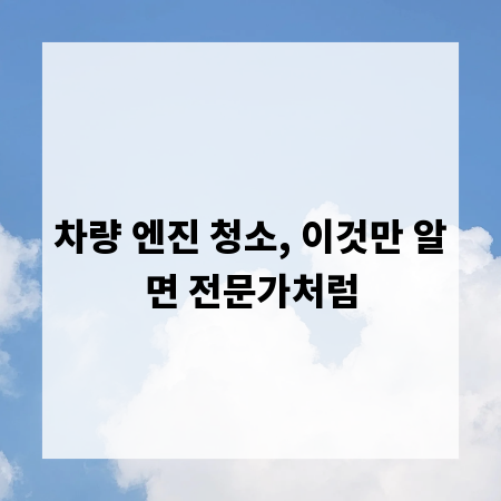 차량 엔진 청소, 이것만 알면 전문가처럼