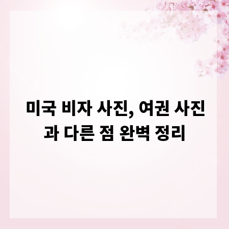 미국 비자 사진 규격, 여권 사진과 꼼꼼 비교 분석
