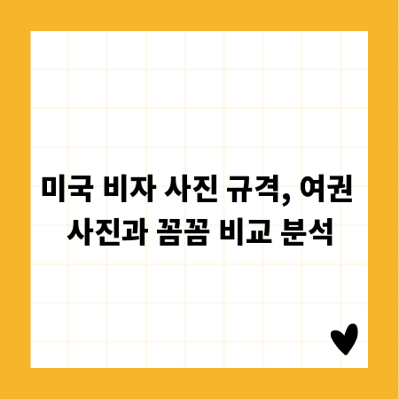 미국 비자 사진 규격, 여권 사진과 꼼꼼 비교 분석