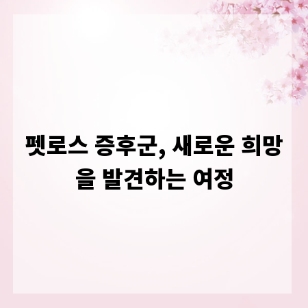펫로스 증후군, 새로운 희망을 발견하는 여정
