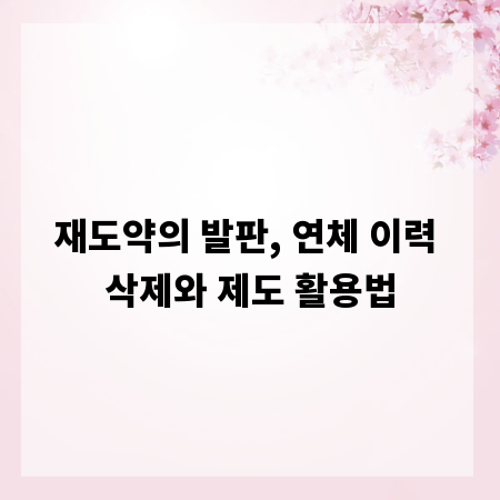 재도약의 발판, 연체 이력 삭제와 제도 활용법