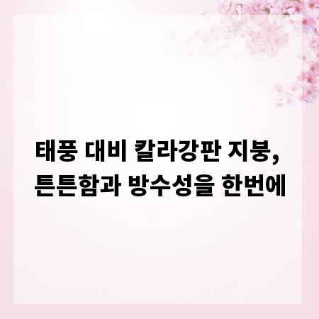 태풍 대비 칼라강판 지붕, 튼튼함과 방수성을 한번에