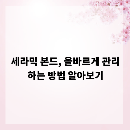 세라믹 본드, 올바르게 관리하는 방법 알아보기