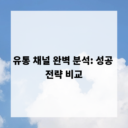 유통 채널 완벽 분석: 성공 전략 비교