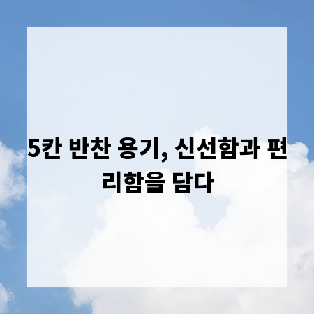 5칸 반찬 용기, 신선함과 편리함을 담다