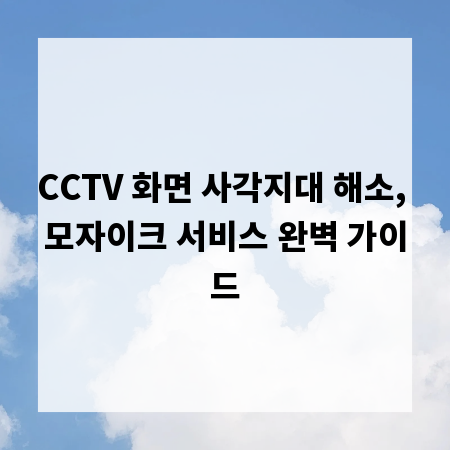 CCTV 화면 사각지대 해소, 모자이크 서비스 완벽 가이드