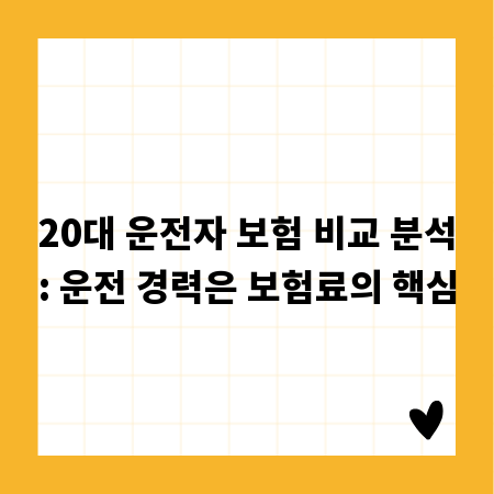 20대 운전자 보험 비교 분석: 운전 경력은 보험료의 핵심