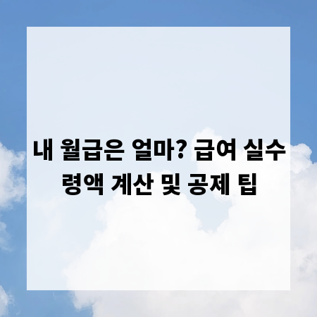 내 월급은 얼마? 급여 실수령액 계산 및 공제 팁