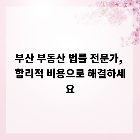 부산 부동산 법률 전문가, 합리적 비용으로 해결하세요
