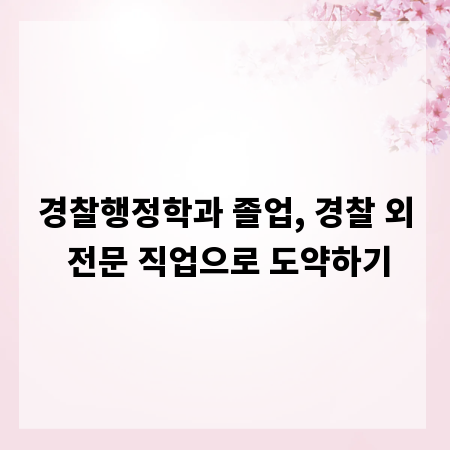 경찰행정학과 졸업, 경찰 외 전문 직업으로 도약하기
