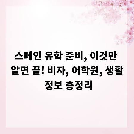 스페인 유학 준비, 이것만 알면 끝! 비자, 어학원, 생활 정보 총정리