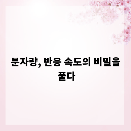 분자량, 반응 속도의 비밀을 풀다