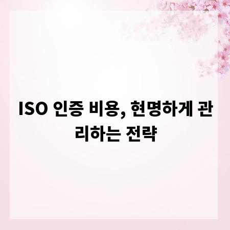 ISO 인증 비용, 현명하게 관리하는 전략