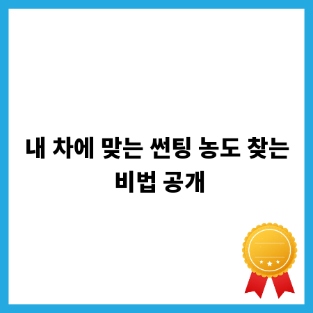 내 차에 맞는 썬팅 농도 찾는 비법 공개