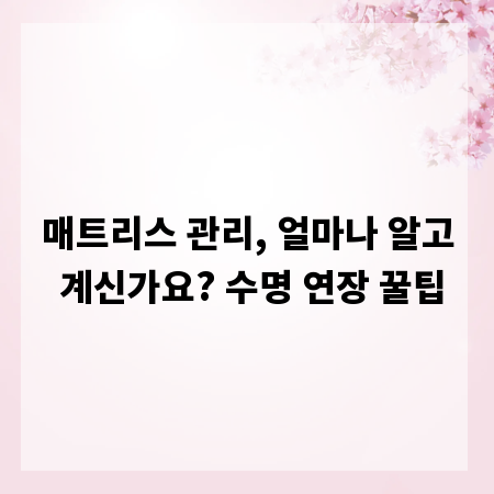 매트리스 관리, 얼마나 알고 계신가요? 수명 연장 꿀팁