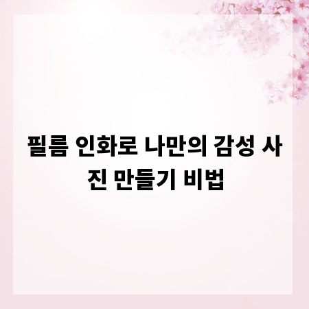 필름 인화로 나만의 감성 사진 만들기 비법