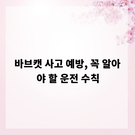바브캣 사고 예방, 꼭 알아야 할 운전 수칙