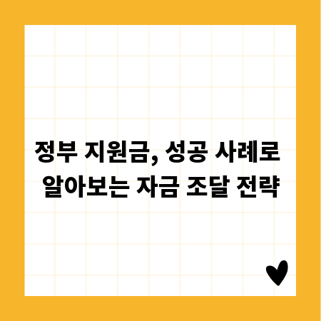 정부 지원금, 성공 사례로 알아보는 자금 조달 전략