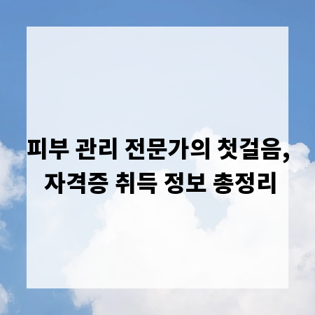 피부 관리 전문가의 첫걸음, 자격증 취득 정보 총정리