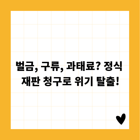 벌금, 구류, 과태료? 정식 재판 청구로 위기 탈출!