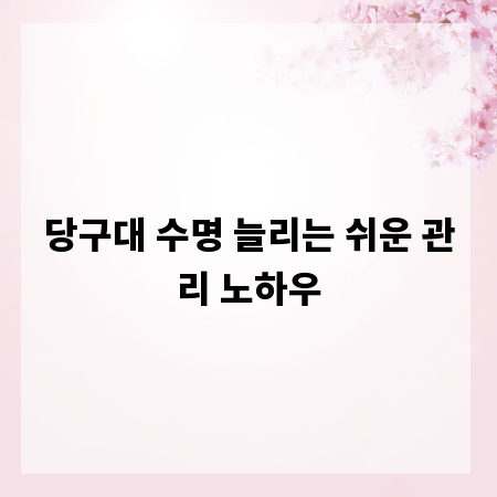 당구대 수명 늘리는 쉬운 관리 노하우
