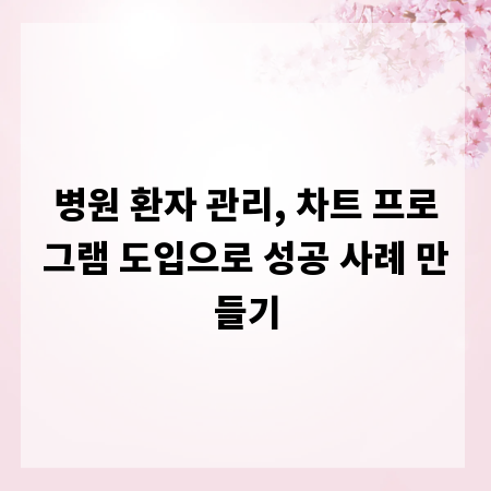 병원 환자 관리, 차트 프로그램 도입으로 성공 사례 만들기