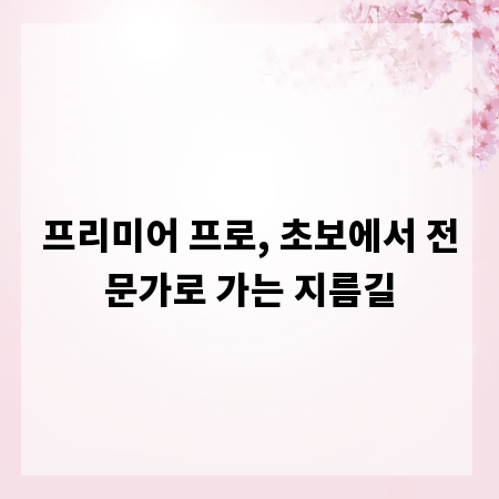 프리미어 프로, 초보에서 전문가로 가는 지름길