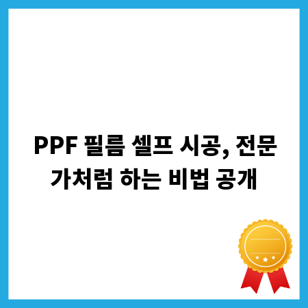 PPF 필름 셀프 시공, 전문가처럼 하는 비법 공개