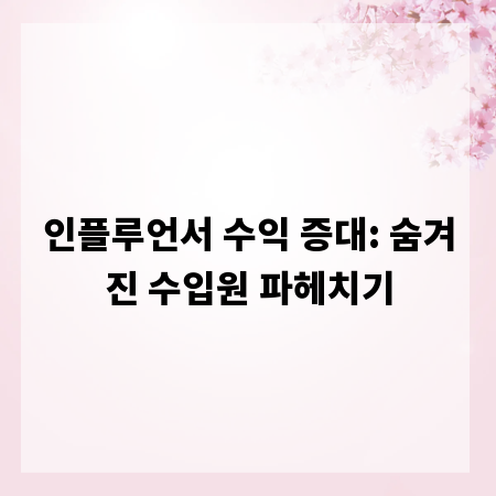 인플루언서 수익 증대: 숨겨진 수입원 파헤치기