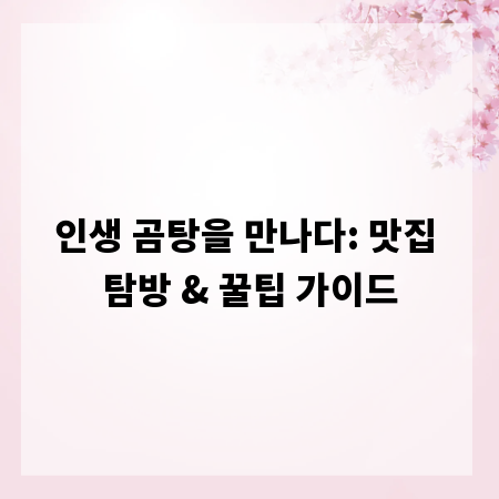 인생 곰탕을 만나다: 맛집 탐방 & 꿀팁 가이드
