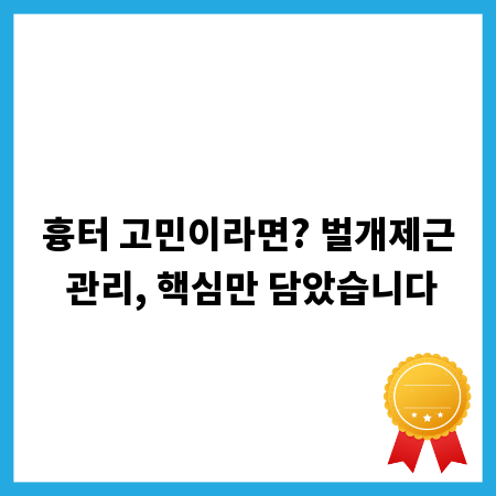흉터 고민이라면? 벌개제근 관리, 핵심만 담았습니다