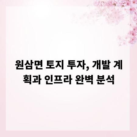 원삼면 토지 투자, 개발 계획과 인프라 완벽 분석