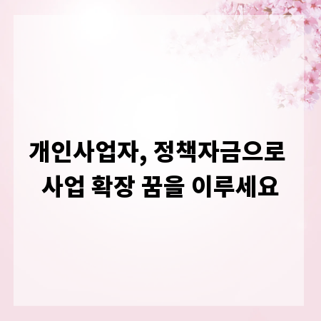 개인사업자, 정책자금으로 사업 확장 꿈을 이루세요