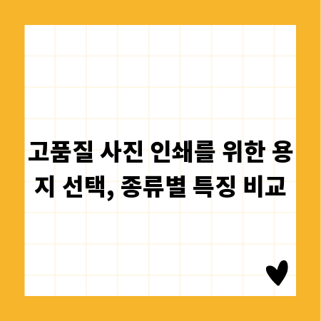 고품질 사진 인쇄를 위한 용지 선택, 종류별 특징 비교