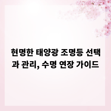 현명한 태양광 조명등 선택과 관리, 수명 연장 가이드