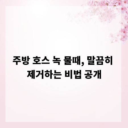 주방 호스 녹 물때, 말끔히 제거하는 비법 공개
