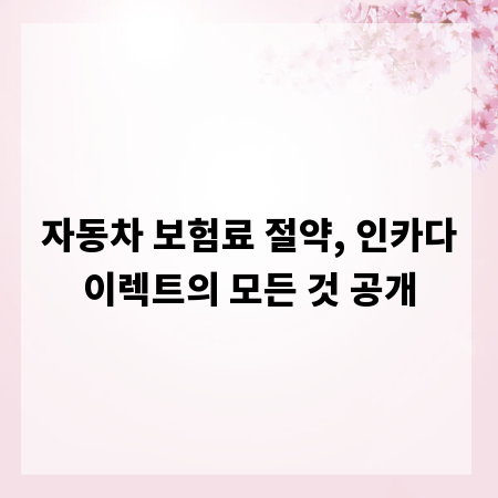 자동차 보험료 절약, 인카다이렉트의 모든 것 공개