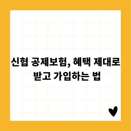 신협 공제보험, 혜택 제대로 받고 가입하는 법