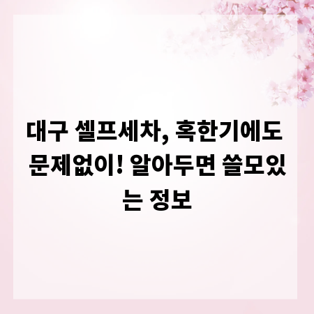 대구 셀프세차, 혹한기에도 문제없이! 알아두면 쓸모있는 정보