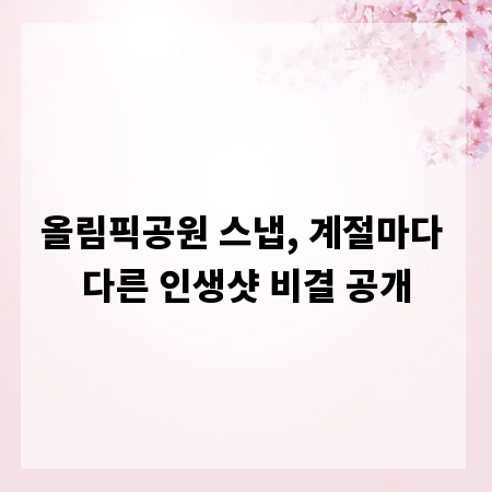 올림픽공원 스냅, 계절마다 다른 인생샷 비결 공개