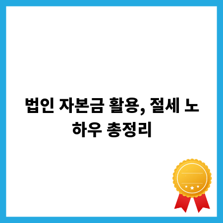법인 자본금 활용, 절세 노하우 총정리