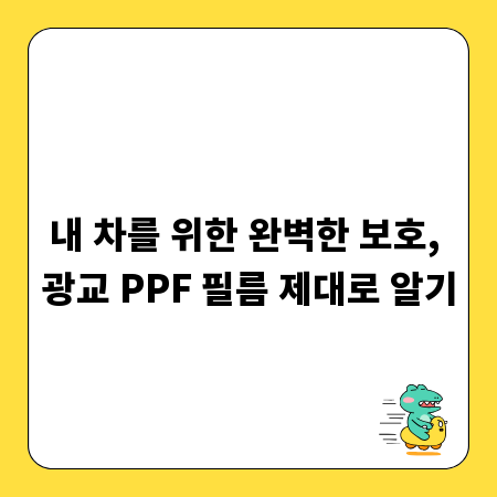 내 차를 위한 완벽한 보호, 광교 PPF 필름 제대로 알기