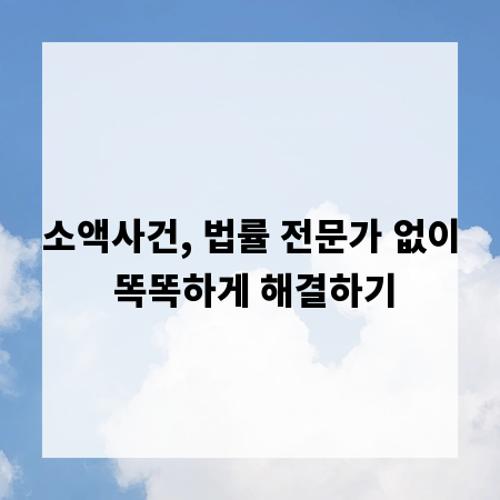 소액사건, 법률 전문가 없이 똑똑하게 해결하기
