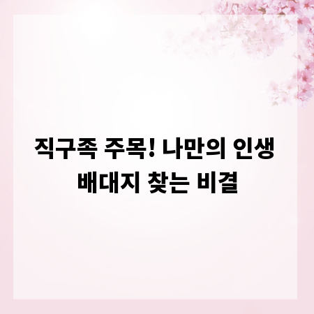 직구족 주목! 나만의 인생 배대지 찾는 비결