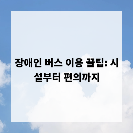 장애인 버스 이용 꿀팁: 시설부터 편의까지