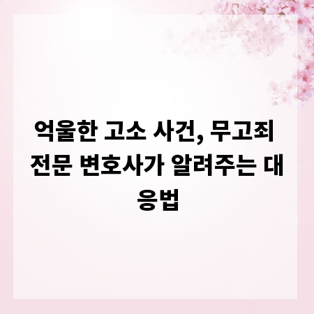 억울한 고소 사건, 무고죄 전문 변호사가 알려주는 대응법